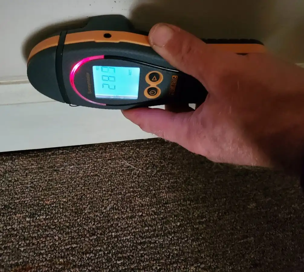 Moisture detection at baseboard during Sewage Cleanup & Sanitation in Morrisville